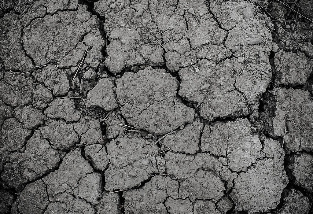 GIORNATA MONDIALE AMBIENTE: CROCE ROSSA PUNTA SU SENSIBILIZZAZIONE AI CAMBIAMENTI CLIMATICI, PREPARAZIONE DELLE COMUNITÀ E SVILUPPO DELLA RESILIENZA